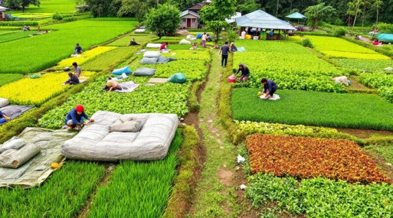 Lanskap pertanian Cianjur dengan petani dan tanaman subur.